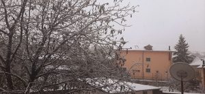 Read more about the article Ninge ca în povești la Tulcea.