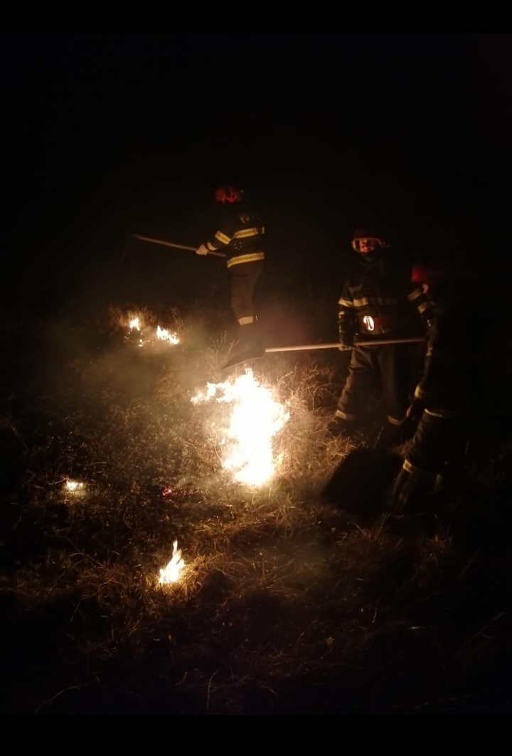 You are currently viewing Primul incendiu de vegetație din acest an – au ars circa 5 ha