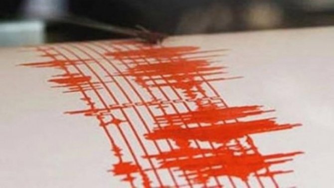 Cutremur cu magnitudinea 4,5 în zona Vrancea, resimțit și în Tulcea