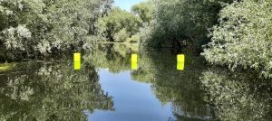 Zonele sensibile din Rezervația Biosferei Delta Dunării trebuie protejate