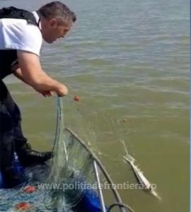 Poliţiştii de frontieră tulceni au eliberat 2 păstrugi prinse în plase neautorizate la pescuit