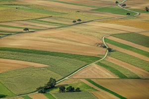 Sute de hectare de teren agricol din Tulcea cumpărate de frații Pavăl