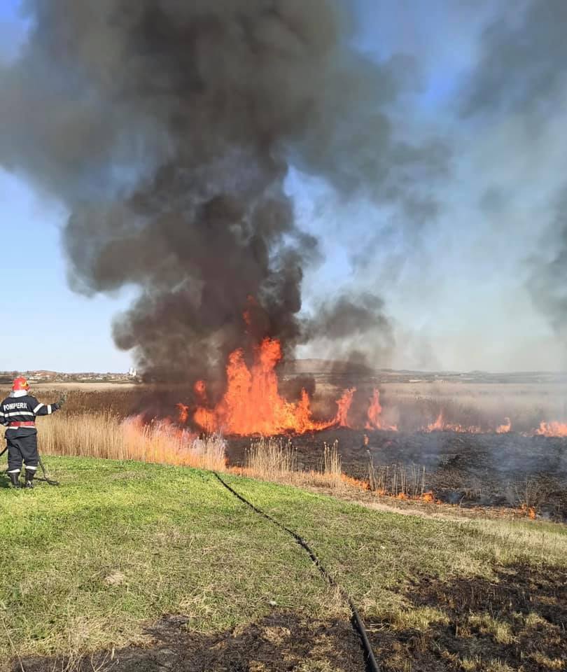 Alertă în România: risc ridicat de incendii de vegetație și păduri