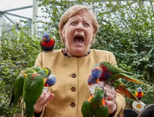 Imaginea zilei: Angela Merkel, ciupită de papagali, în timpul unei vizite  la parcul de păsări din Marlow, Anglia