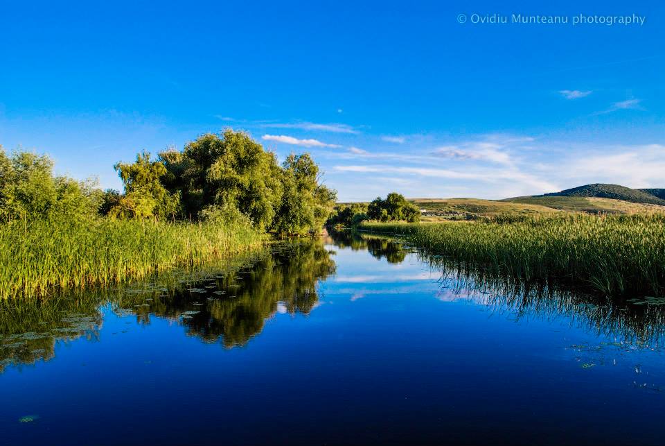 1 septembrie – Ziua Rezervației Biosferei Delta Dunării