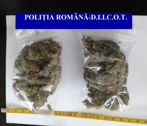 Read more about the article Patru percheziții în Sulina, la traficanți de droguri