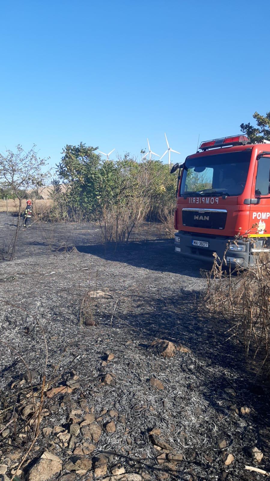 Case în pericol la Cerna în urma unui incendiu de vegetație uscată