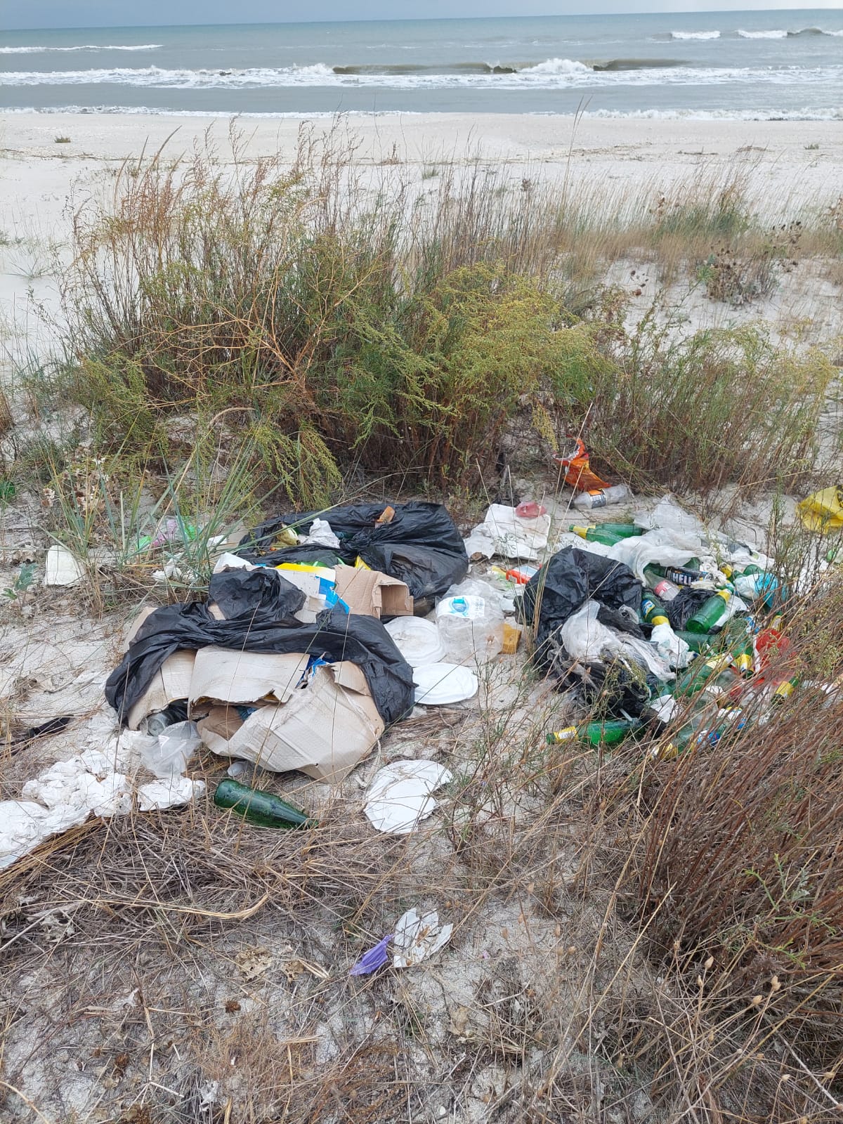 În urma turiștilor, plaja Vadu – plină de gunoaie – a fost ecologizată de ARBDD și mai mulți voluntari