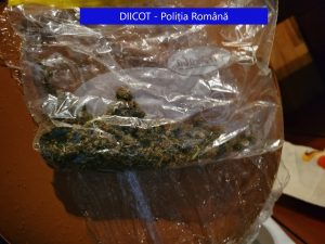 5 indivizi arestați de Tribunalul Tulcea, după ce au comercializat cannabis pe raza județului Tulcea