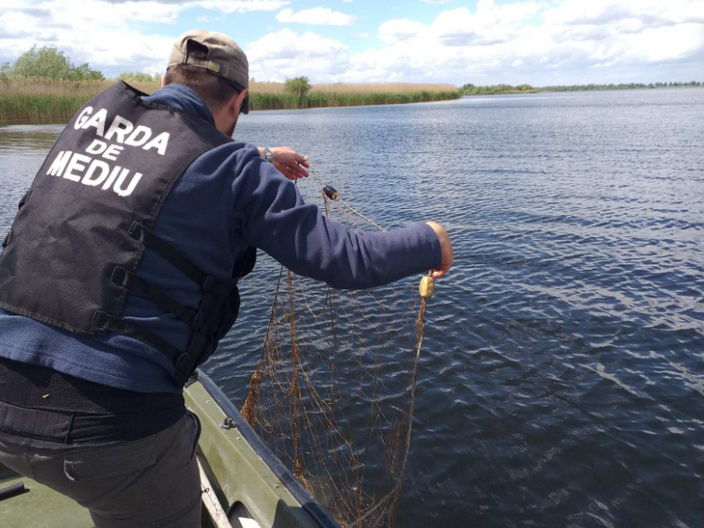 You are currently viewing 500 de metri de plase ilegale de pescuit, confiscate și zeci de puieți vii redați naturii, într-o acțiune antibraconaj a Gărzii de Mediu în Delta Dunării