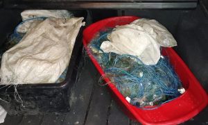 Read more about the article Braconieri piscicoli, descoperiți la Sălcioara cu zeci de kilograme de pește și plase mono-filament