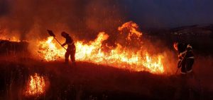 Read more about the article Zeci de hectare de stuf și vegetație uscată au ars în județul Tulcea, în acest week-end