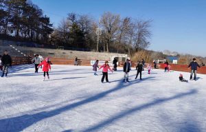 Read more about the article Noul an vine cu gheață pe patinoar