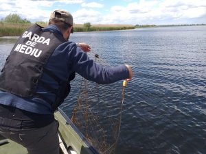 Amenzi de 100.000 de lei și aproape 500 de kilograme de pește confiscate de comisarii Rezervației Biosferei Delta Dunării în 2021