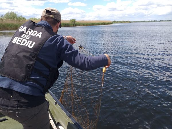Amenzi de 100.000 de lei și aproape 500 de kilograme de pește confiscate de comisarii Rezervației Biosferei Delta Dunării în 2021