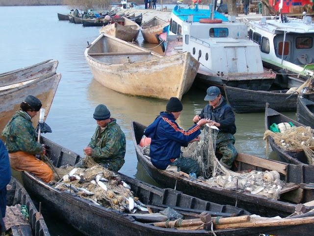 Pescarii din Delta Dunării amenință că vor protesta în fața ARBDD, din cauza noului ordin de prohibiție!
