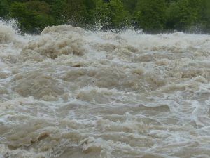 Proiect de 8.8 milioane de euro pentru reducerea riscului de inundații în Delta Dunării