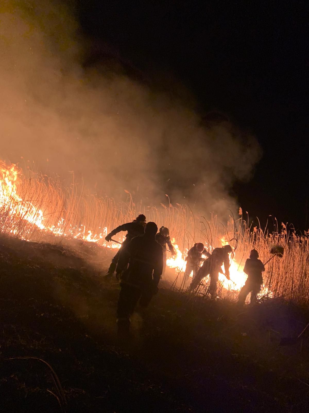 Weekend de foc în Deltă! Au ars peste 100 de hectare de stuf!