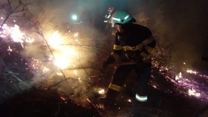Read more about the article 90 de hectare de vegetație uscată, incendiate în apropiere de Jijila și Garvăn
