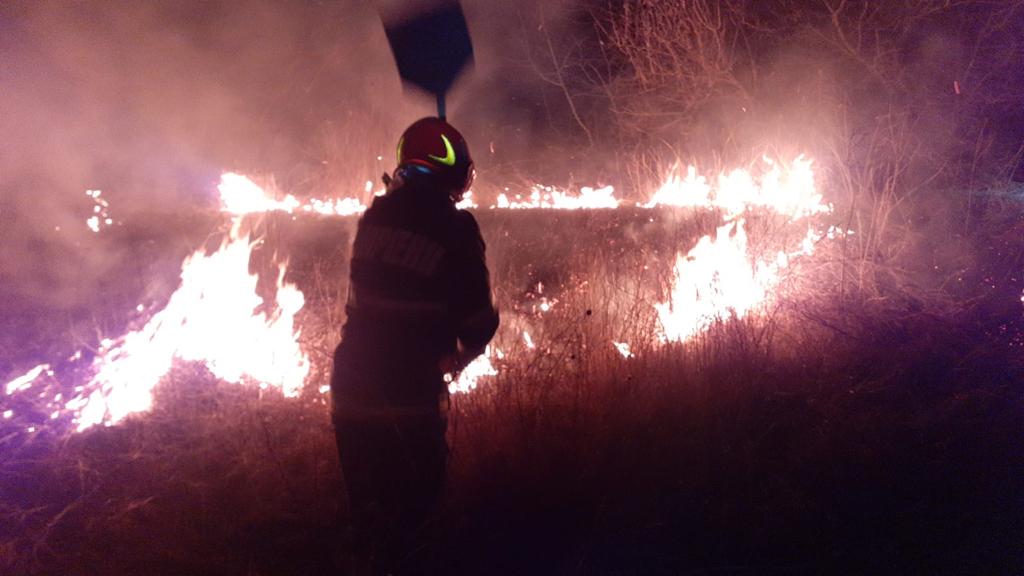Flăcări timp de 11 ore în Deltă! Au ars peste 1000 de hectare de stuf și pădure!