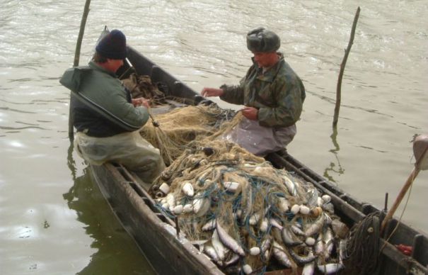 Căpitănia Zonală Tulcea: Pescarii își pot relua activitatea pe brațul Chilia, dar numai pe timpul zilei!