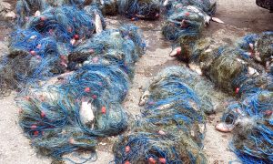 450 kilograme de peşte și plase de circa 4.000 metri confiscate în 3 luni de poliţiştii de frontieră