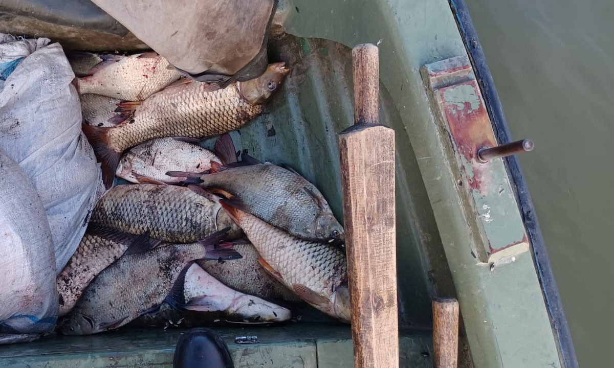 Braconieri piscicoli prinși pe Dunăre, în zona Nufăru, în prima zi de prohibiție