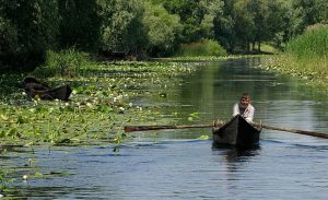 Tulcenii, chestionați de ARBDD cu privire la ce măsuri trebuie să includă Planul de management al Rezervației Biosferei Delta Dunării