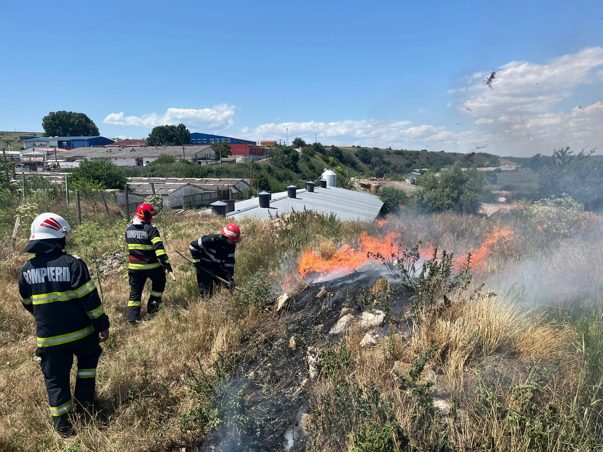 Incendiu de vegetație uscată lângă Malcoci – flăcările riscau să ajungă la fermele agricole din zonă