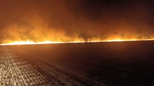 Read more about the article Circa 800 de ha din judetul nostru au ars în urma a 2 incendii violente