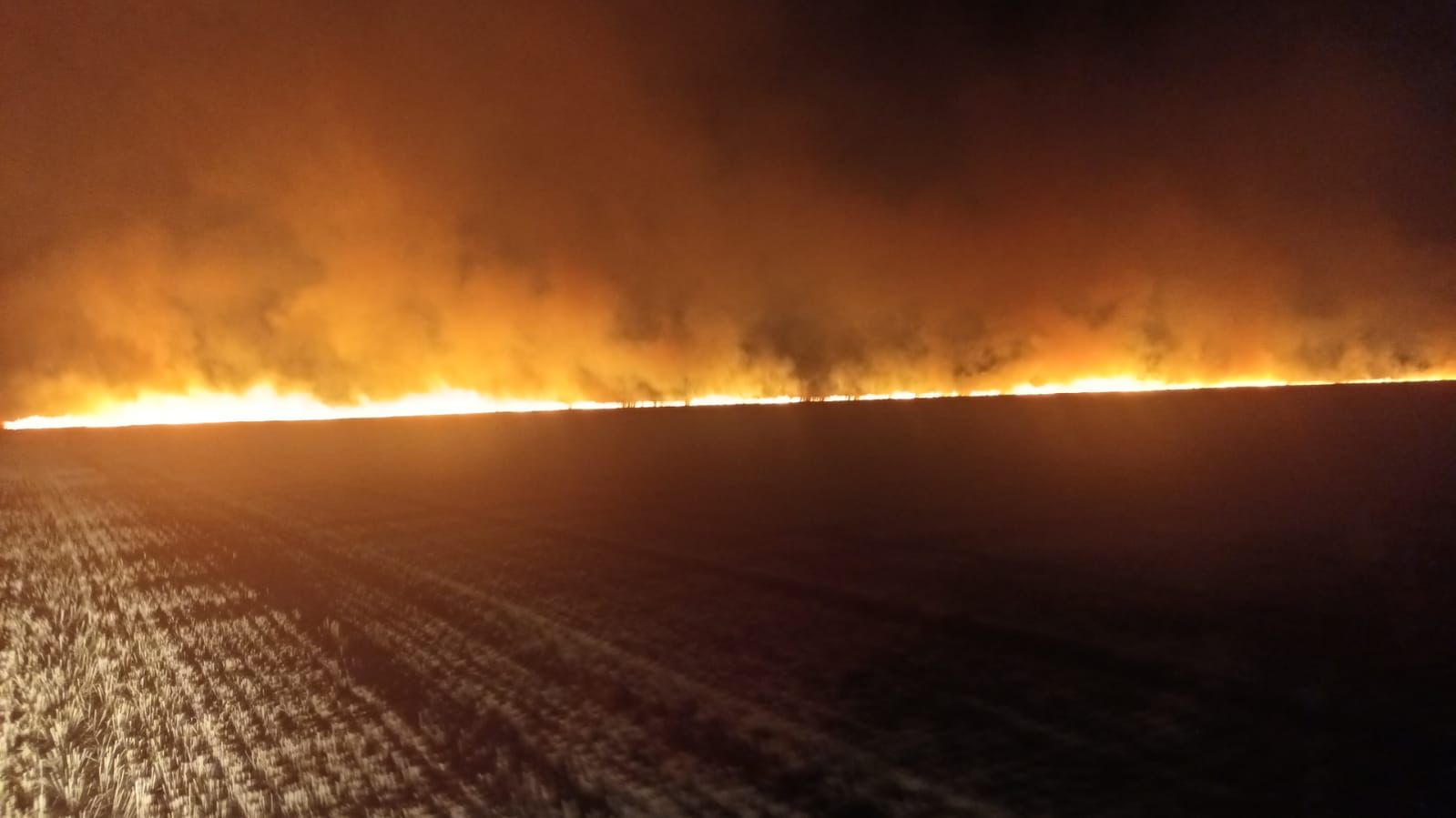 Circa 800 de ha din judetul nostru au ars în urma a 2 incendii violente