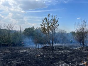 Incendiu de vegetație în pădurea Bididia – anchetă în curs a polițiștilor tulceni