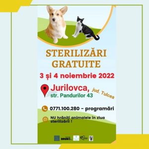 Read more about the article Campanie de sterilizare gratuită a câinilor și pisicilor la Jurilovca, peste 2 săptămâni