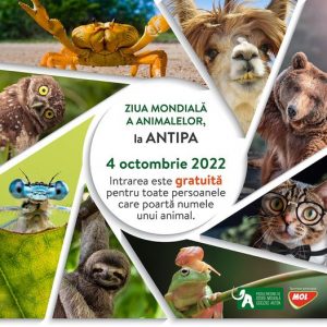 Read more about the article Acces gratuit la Muzeul Antipa, mâine, de Ziua Mondială a Animalelor