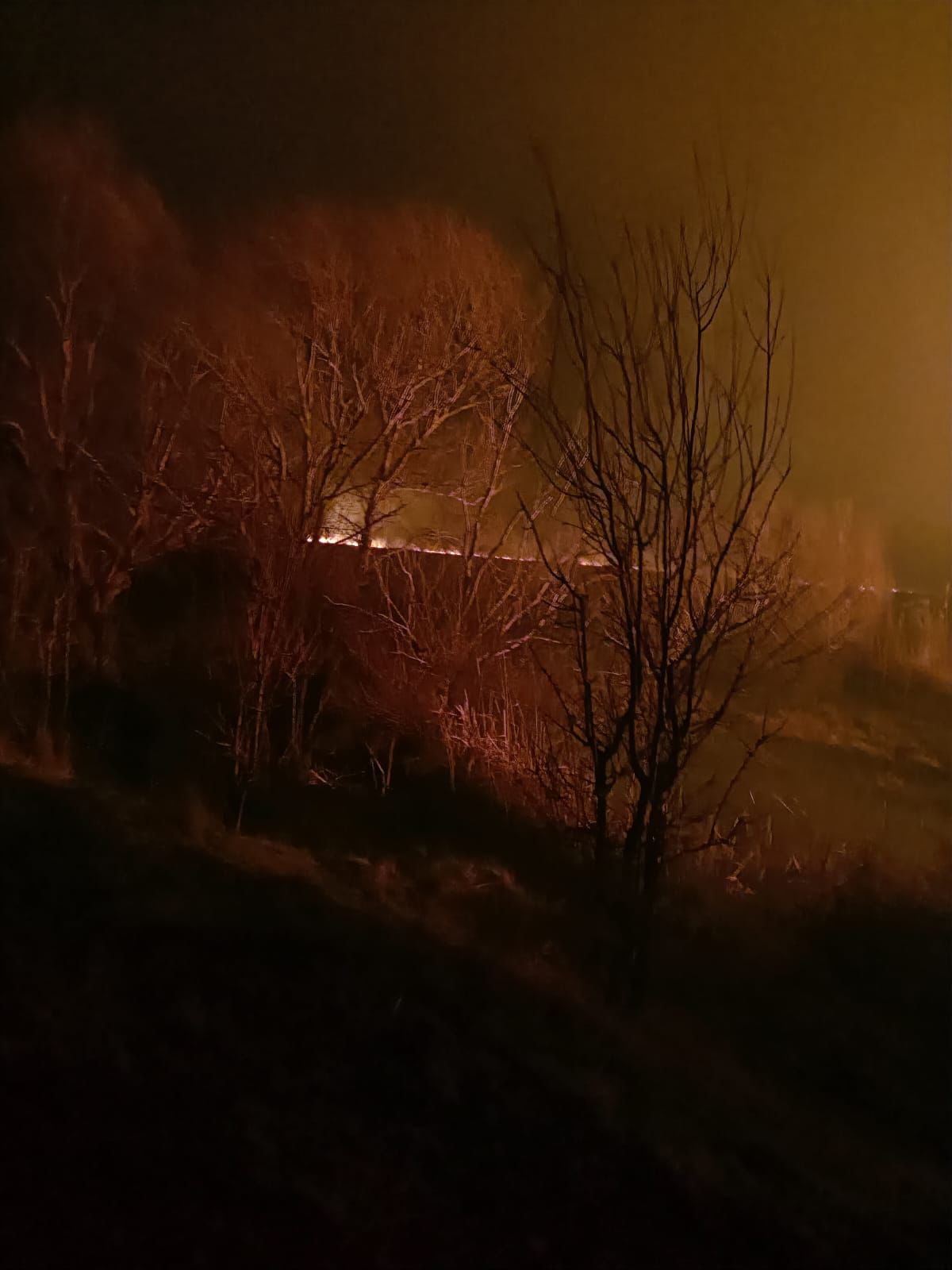 Incendiul de vegetație de lângă Sulina a fost ținut sub control de pompierii tulceni