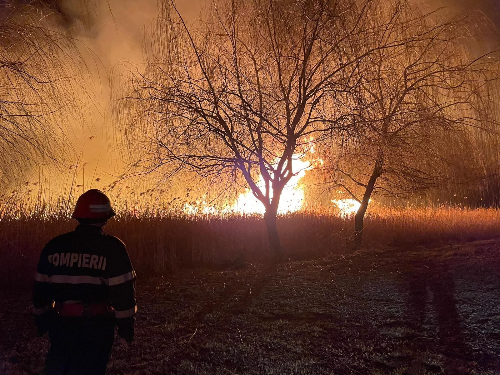 Incendiu de vegetație în apropiere de Murighiol, ce risca să se extindă la o pensiune