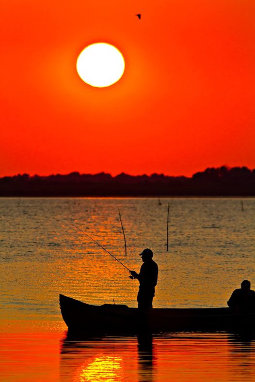 Prohibiția generală la pescuit a început sau va începe luna aceasta, funcție de zona vizată din RBDD