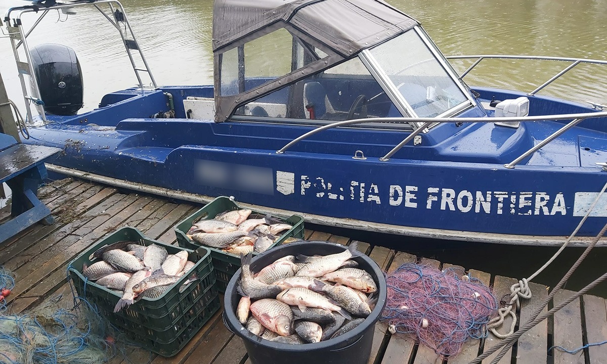 Peste 1.000 de metri de plase și 120 kg de pește confiscate de polițiștii de frontieră dobrogeni