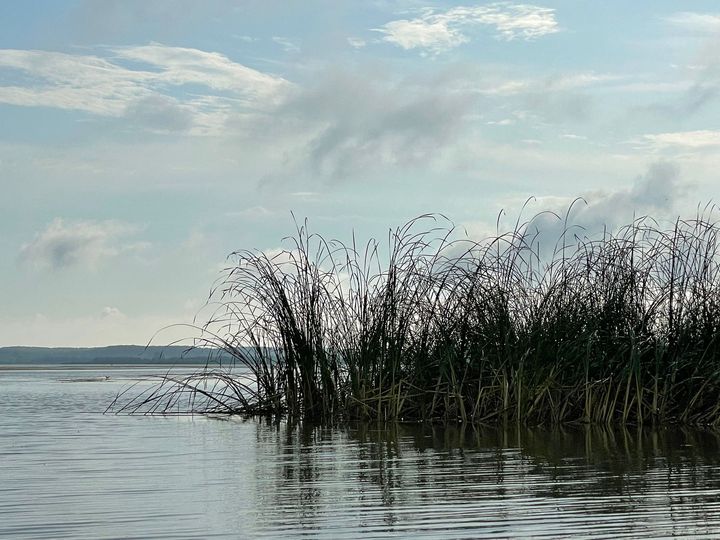 Sondaj privind părerea oamenilor din Deltă despre refacerea ecosistemelor acvatice