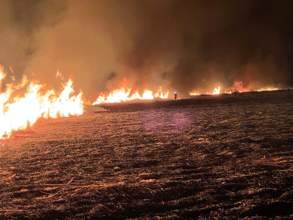 3 incendii în 24 de ore : lângă Zebil, în Niculițel și în Parcheș